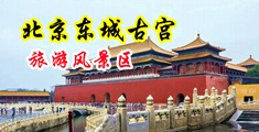 日韩襙屄片中国北京-东城古宫旅游风景区